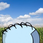 corn